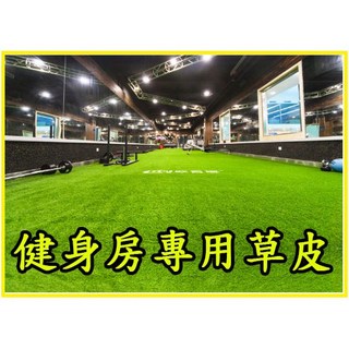台灣製雪橇專用加強草皮，健身房仿真景觀高爾夫人工草皮，耐磨易清潔, 1個, 寬1米 *長10米(雪橇專用)