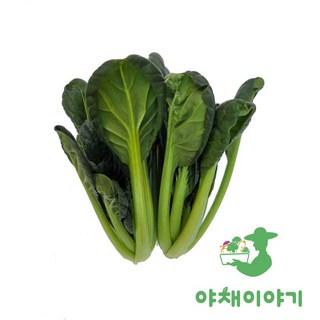 야채이야기 싱싱한 그린 비타민 채소 특수 야채 1kg 다채, 1개