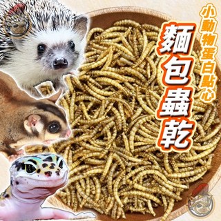 麵包蟲乾 蛋白點心 烏龜飼料 倉鼠飼料 刺蝟 寵物鼠 蜜袋鼯 爬蟲類 蜥蜴 鳥類 觀賞魚 兩棲爬蟲, 1個, dw-01麵包蟲乾【分裝25g】