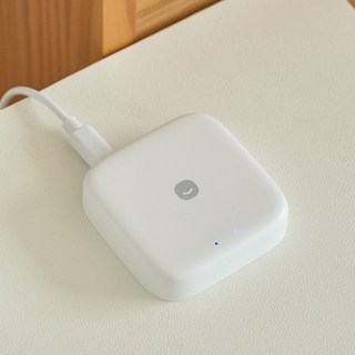 헤이홈 스마트 허브 Pro 실내용, GKW-GW022, 1EA