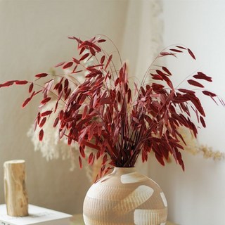 小盼草幹花花束天然真花，永久永生花新款網紅高級感北歐風插花擺件，為居家空間增添自然清新與藝術氣息, 嫣紅永生花畫眉草9只（不含瓶）