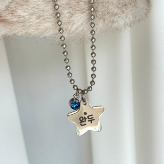 써지컬스틸 주문제작 반려동물 목걸이 인식표 탄생석, 1개, 별 펜던트