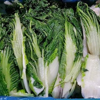 100% 국내산 삶은(데친) 무염 배추 우거지, 1개, 10kg