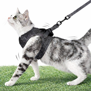 바이나우 고양이 전용 하네스 세트, [on]에어쿠션하네스SET-그레이S, 1개