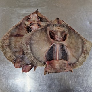 싱싱해몰 간재미 국내산 반건조생선 건조, 1팩, 반건조간재미(특대)2미