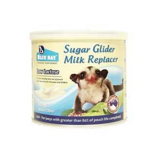 倍力澳蜜多 蜜袋鼯專用代奶粉，低乳糖配方，富含維生素與礦物質，增強免疫力，澳洲原裝進口, 180g, 1個