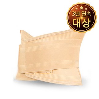TOP-01 허리보호대, 1개