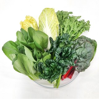 [사계절청년농부] 샤브샤브용 국내산 모듬 쌈채소 알배추 청경채 쑥갓 비타민 적근대 팽이버섯, 1세트, 1kg