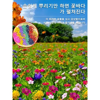 사계절 꽃종자 조합 파종 정원 꽃 바다 만수국 칸 뽕나무 견우 꽃종자, 정원 들꽃, 50개