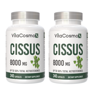 미국 비타코스모 VitaCosmoX 프리미엄 시서스 시서스캡슐 가루 분말 케토스테론 50% Cissus 고함량 고농축 8000mg, 2개, 240정