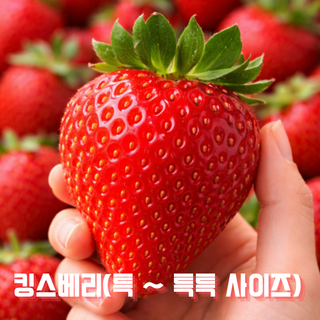 산지직송 프리미엄 논산 고당도 킹스베리 설향 딸기 제철 생딸기 500g 1kg, 1박스, 킹스베리 딸기 특사이즈 28개입 내외 1kg