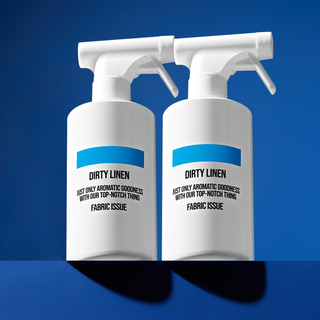 더티린넨 섬유탈취제 패브릭이슈 본품, 2개, 500ml