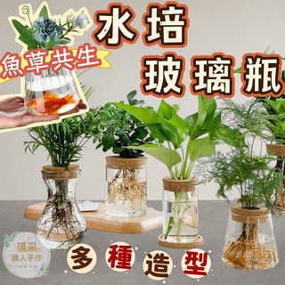 【璟采職人】水培玻璃瓶 水培花盆 水培盆栽 生態瓶 盆栽容器 水耕花盆 盆器 水耕瓶 水培瓶 水養植物瓶 水養植物, 6.5公分木托,【1個】植物僅供展示，並不包含在內