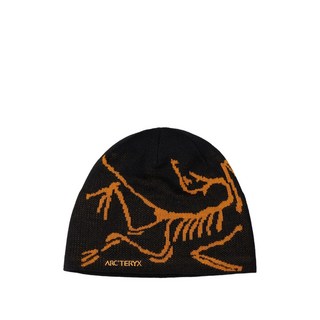 아크테릭스 버드 헤드 토크 비니