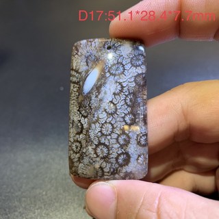 珊瑚玉 又稱 菊花石 吊墜 D17 全透光。 尺寸：51.1*28.4*7.7mm(長*寬*厚)