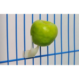 康遠 鳥用簡易水果叉 鸚鵡八哥鷯哥 鳥籠配件, 1個, 小號, 白色