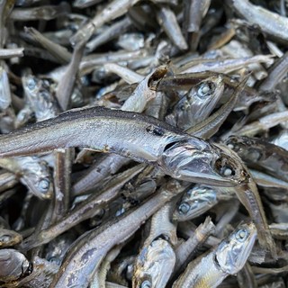 신건호멸치 조림/육수용 중멸치(상급) / 안주멸치 국물멸치, 500g, 1개