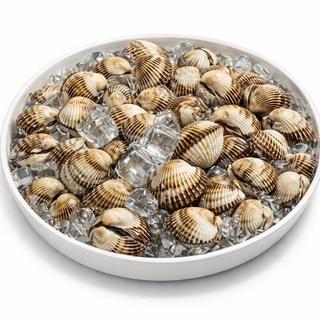 [한정초특가] 벌교 새꼬막 4차 선별 최상품 남해 당일조업 산지직송 디아머스, 1개, 6kg