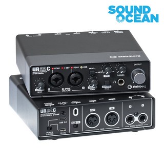 스테인버그 USB 오디오 인터페이스, UR22C, 혼합색상