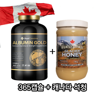 로얄캐네디언 알부민 골드 1500mg 먹는 알부민 캐나다 부모님 선물 건강기능식품 +사은품, 1개, 365정