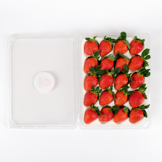 [농장직송] 빅사이즈 설향딸기 논산 생딸기, 1개, 700g(특대)