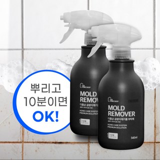 더홈샵 초강력 곰팡이제거제 욕실 청소 벽지 창틀, 2개, 540ml