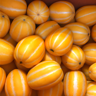 국내산 고당도 성주 참외 가정용, 1박스, 1kg