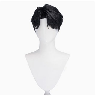 獵魔女團 振宇 Jinu saja boys COSPLAY 假髮/送發網/高溫絲, 1個, 假髮護理組合價格300元
