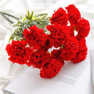 행복한마을 차밍카네이션 2다발묶음, 레드