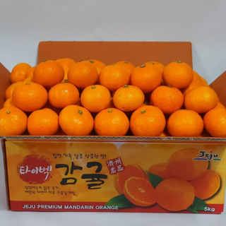 당도보장 제주 타이벡감귤 맛없으면 무료반품, 1개, 3kg-로얄중과(S-M)