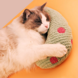 강아지 고양이 귀여운 말랑꿀잠 반달베개 휴식 쿠션, 1개, 그린