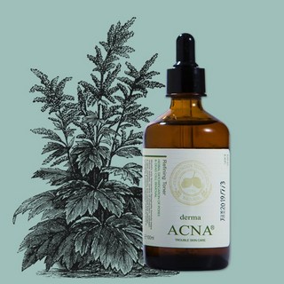 더마 아크나 리파이닝 토너, 1개, 아크나 토너