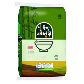 담양군농협 2025년산 햅쌀 대숲맑은 죽향 새청무, 20kg, 1개, 상등급