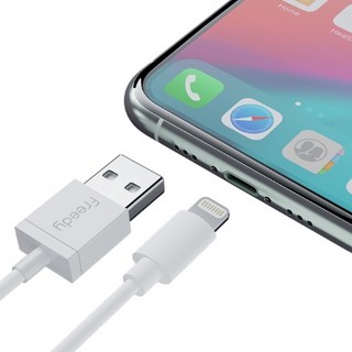 프리디 USB A-라이트닝 충전 케이블, 1개