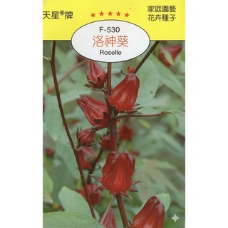 天星牌 洛神葵Roselle(洛神花) 種子 - 野菜部屋 Y05 原包裝種子, 1包