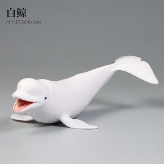 仿真鯨魚模型海洋動物玩具，海底生物藍鯨白鯨虎鯨灰鯨兒童科教擺件, 1個, 白鯨