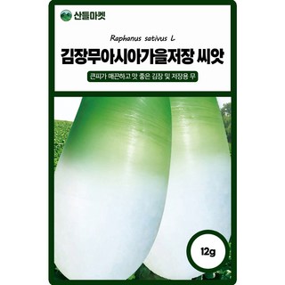 씨앗 무 아시아가을김장 12g, 1개