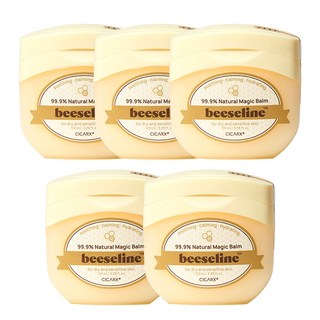 시카알엑스 꿀 바세린 비세린 내추럴 매직 밤 2X 천연 바세린, 5개, 100ml