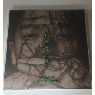 王櫟鑫《大不了就再遺憾》CD 寫真歌詞本 全新未拆封, 如圖所示