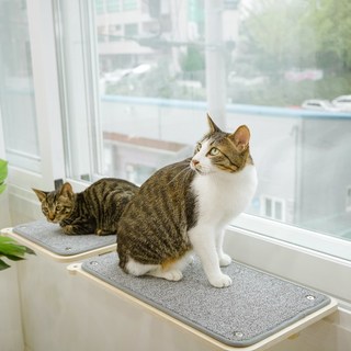 캣돌 고양이 창문 창틀 선반 캣타워, 그레이, 1개