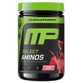 머슬팜 MP 셀렉트 아미노 워터멜론 크러쉬, 366g, 1개