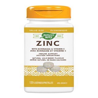 네이쳐스웨이 아연 에키네시아 비타민C 베지테리안 식물성 캡슐 비건 캐나다 직구, 1개, 120정