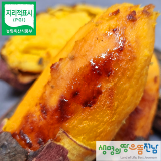 [만족도 최상] 영암 해남 호박고구마 산지직송, 2kg 대, 1개