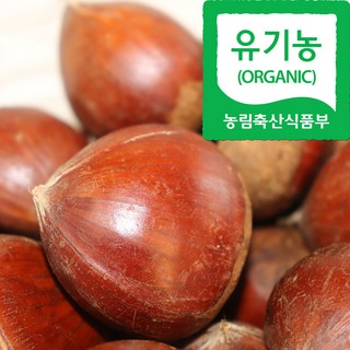 (자연마을) 공주 유기농 정안밤 1kg 2kg 피밤 생밤 생율, 1개, 공주 유기농 정안 피밤
