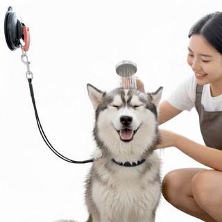 견행묘행 강아지 고양이 목욕 리쉬 미용 목줄, 1개, 블랙