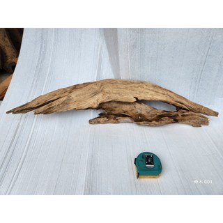 【十木工坊】奇木1.台灣檜木紅檜DIY創作材, 1個