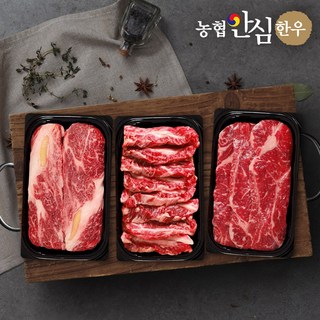 [농협안심한우] 1등급 구이채반 2호 선물세트 1kg (등심400g+특수부위300g+채끝300g), 1개