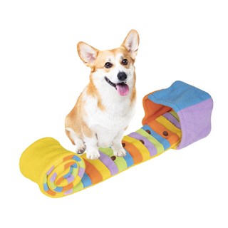딩동펫 반려동물 레인보우 네모롤 노즈워크 장난감, 혼합색상, 1개
