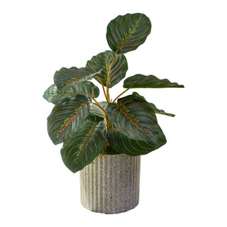 大好屋 仿真龜背葉盆栽組：竹芋、旅人蕉熱帶仿真植物，灰色條紋盆器，輕鬆打造居家綠意, 灰色條紋, 1件