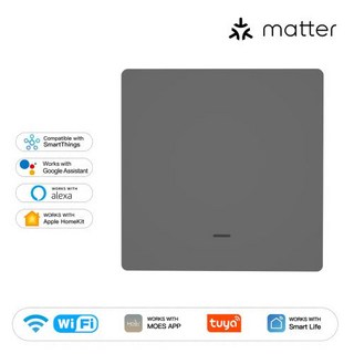 MOES 스마트 라이트 스위치 EU WiFi Tuya Matter Alexa Google Apple HomeKit SmartThings 앱 음성 원격 제어와 함께 작동, 5)1Gang Switch Grey